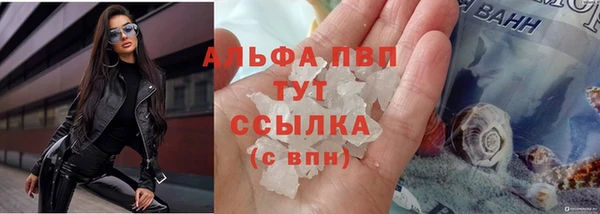 дмт Арсеньев