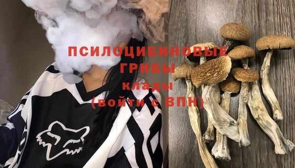 дмт Арсеньев