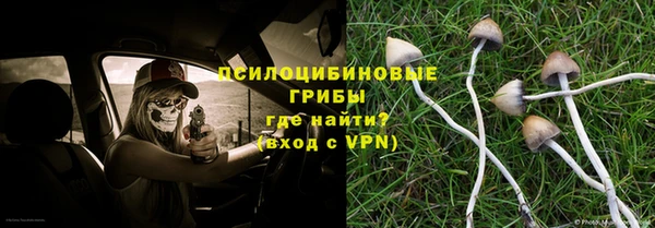 трава Армянск