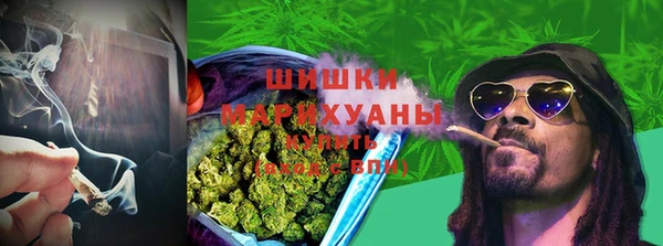 дмт Арсеньев