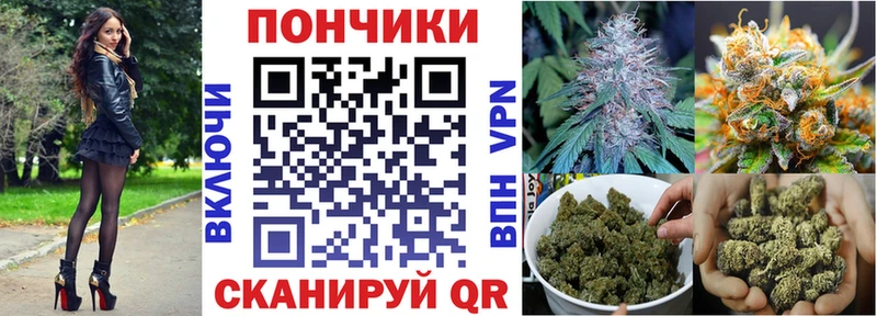 Конопля план  где найти   Рославль 